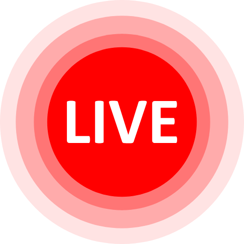 Heidywills Cam